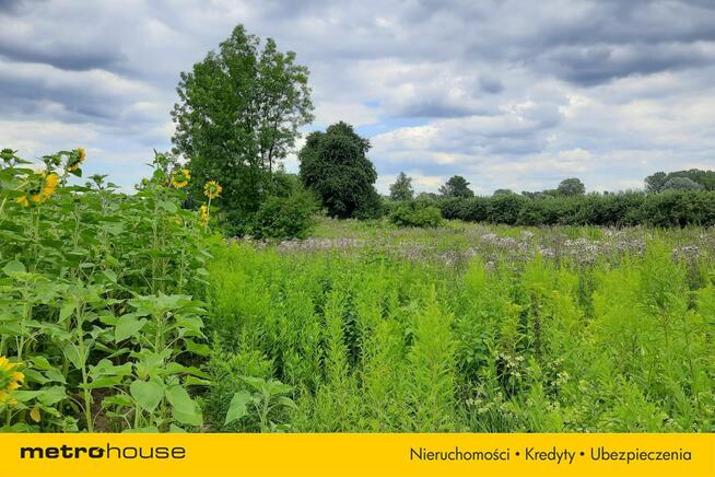 Nieruchomość rolna kilka km od Konstancina.