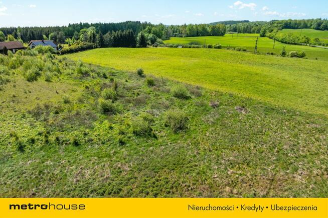 Magiczna działka na Warmii - stawy i zieleń