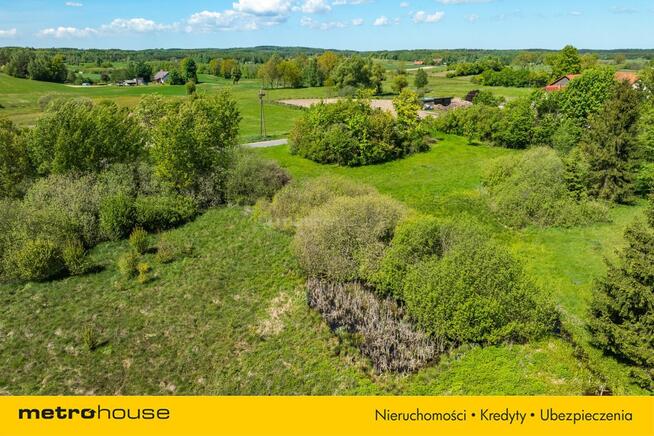 Magiczna działka na Warmii - stawy i zieleń