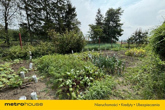 dom mieszkalny Krzykosy