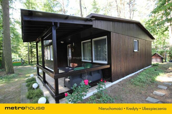 Klimatyczny domek otoczony lasem.