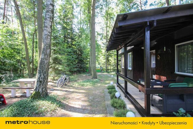 Klimatyczny domek otoczony lasem.