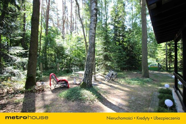 Klimatyczny domek otoczony lasem.