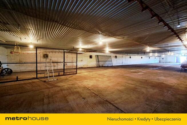 W pełni wyposażona ferma drobiu z zapleczem + dom