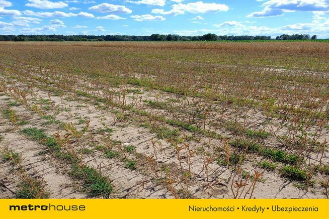 Działka rolna Dąbkowice Dolne/ Łowicza -13 300m2