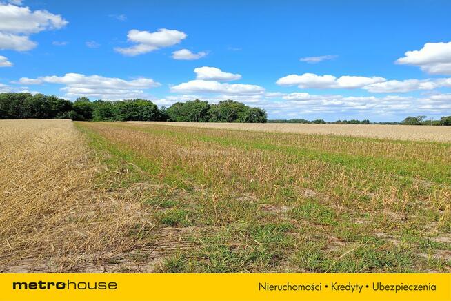 Działka rolna Dąbkowice Dolne/ Łowicza -13 300m2