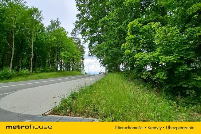 6 ha Lasu w Klawkowie