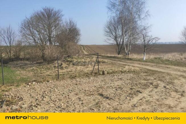 Działka budowlana, Sąborze, 4098 m/2, nieuzbrojona