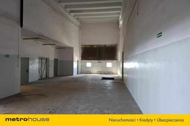 Wynajem hali w Toruniu o powierzchni 1518,4 m2.
