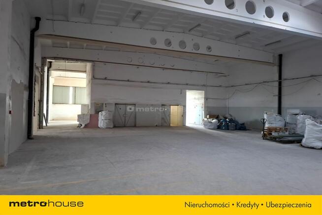 Wynajem hali w Toruniu o powierzchni 1518,4 m2.