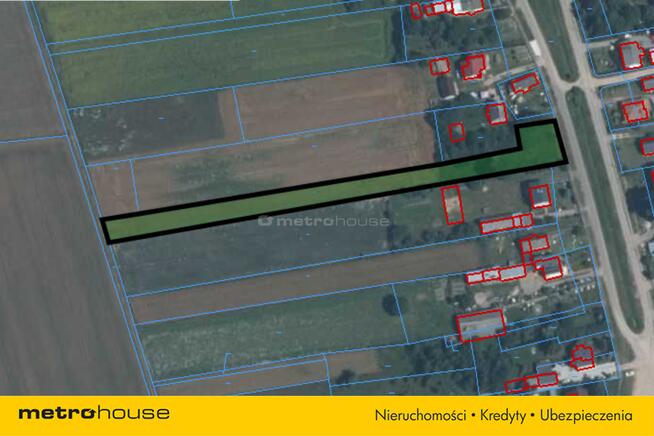 Sprzedam działkę siedliskową w Skurpiu cena 36 tys