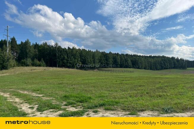 Działka Małe Leźno