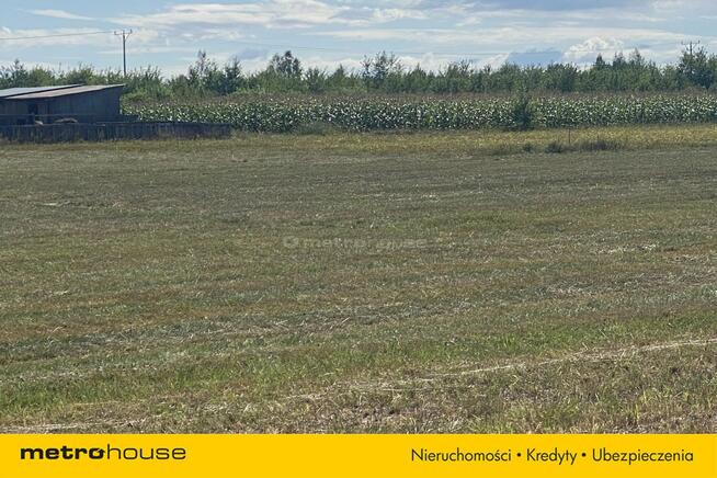 Działka budowlana 1506 m2 - Kolonia Lesiów.