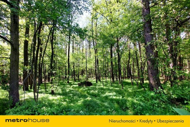 Działka budowlana pod lasem - Nieborowice.