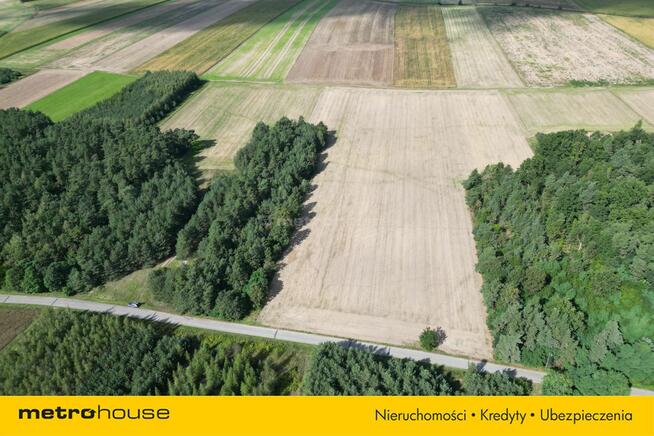 Działka Rolna Wilkostowo