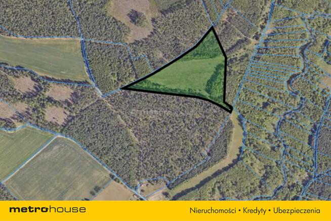 Na sprzedaż 3-ha działka leśna w okolicy Mławy