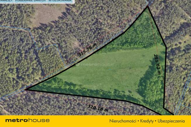 Na sprzedaż 3-ha działka leśna w okolicy Mławy