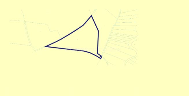 Na sprzedaż 3-ha działka leśna w okolicy Mławy