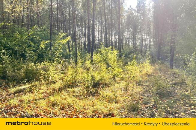 POWAŁKI działka budowlana na skraju lasu.