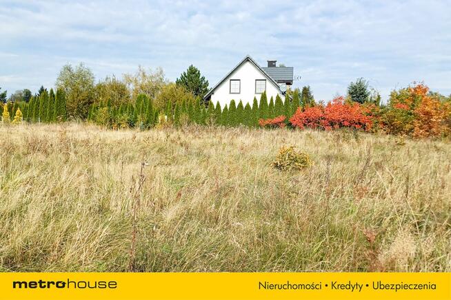 Działka 1246 m2, na sprzedaż - Nieżywięć.