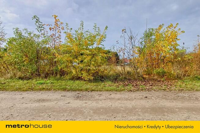 Działka 1246 m2, na sprzedaż - Nieżywięć.