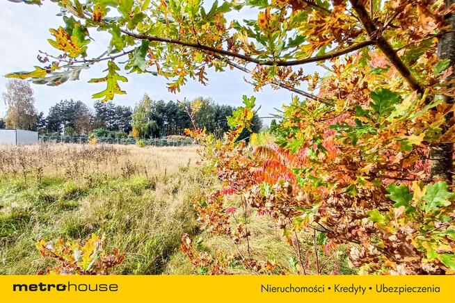 Działka 1246 m2, na sprzedaż - Nieżywięć.