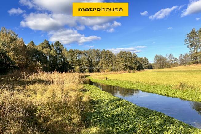 Działka siedliskowa z linią brzegową, przy lesie
