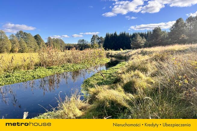 Działka siedliskowa z linią brzegową, przy lesie