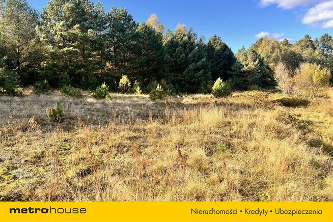 Działka siedliskowa z linią brzegową, przy lesie