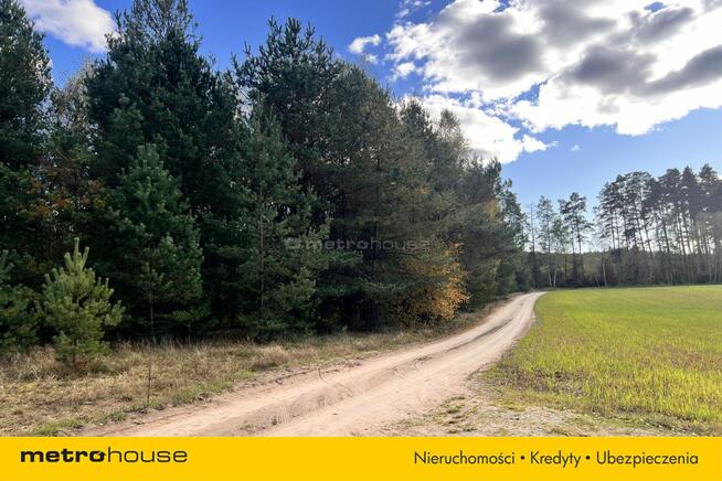 Działka siedliskowa z linią brzegową, przy lesie