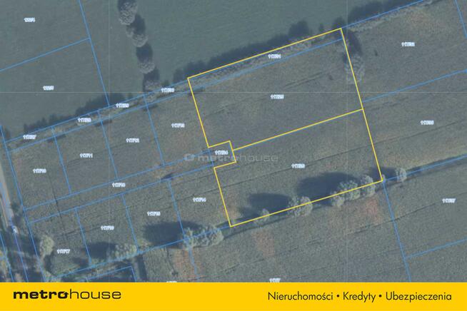 Atrakcyjne działki w Krzewsku blisko Elbląga