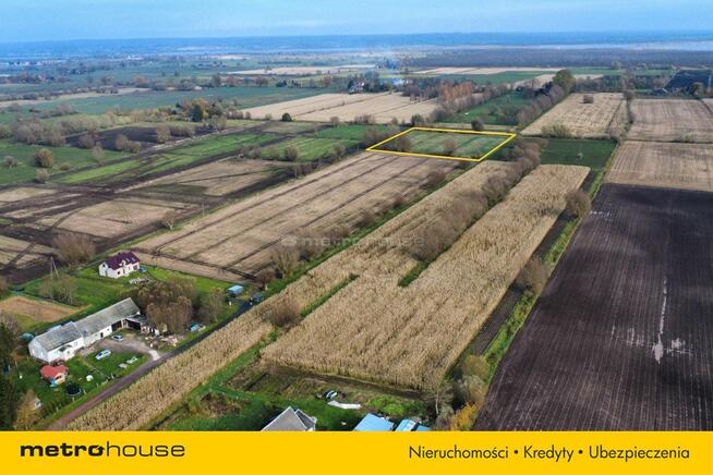 Działka ROLNA Krzewsk zainwestuj w przyszłość.