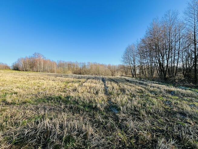 Działka z Warunkami Zabudowy w Jedliczu