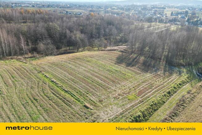 Działka z Warunkami Zabudowy w Jedliczu