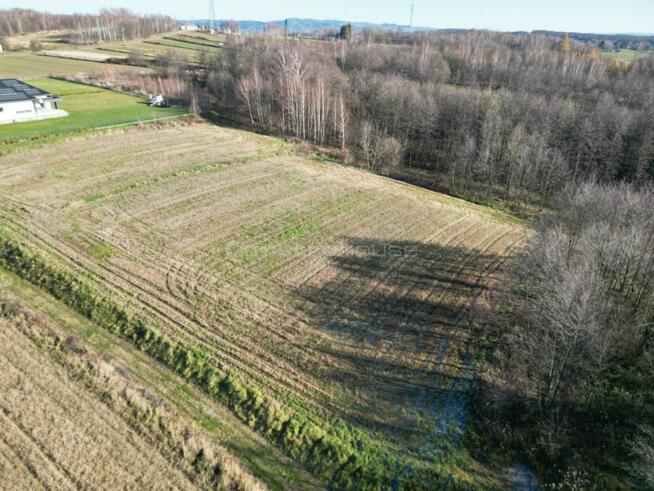 Działka z Warunkami Zabudowy w Jedliczu
