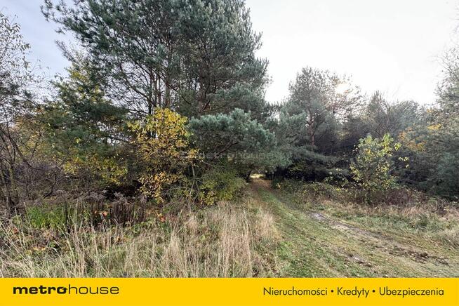 KSIĘSTWO-działka rolna o pow. 9001,1 m2.