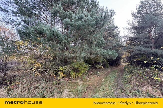 KSIĘSTWO-działka rolna o pow. 9001,1 m2.