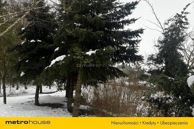 Służewo, działka ze stawem, częściowo zadrzewiona.