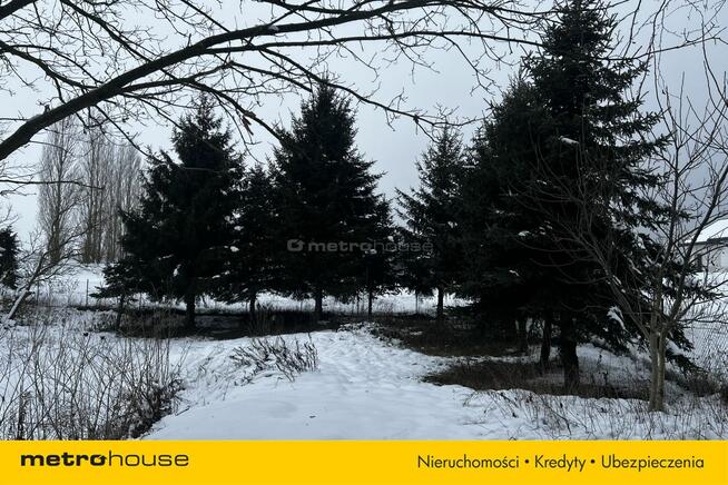 Służewo, działka ze stawem, częściowo zadrzewiona.