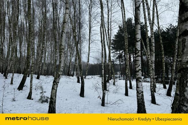 Służewo, działka ze stawem, częściowo zadrzewiona.