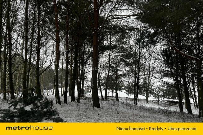 Służewo, działka ze stawem, częściowo zadrzewiona.