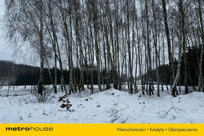 Służewo, działka ze stawem, częściowo zadrzewiona.