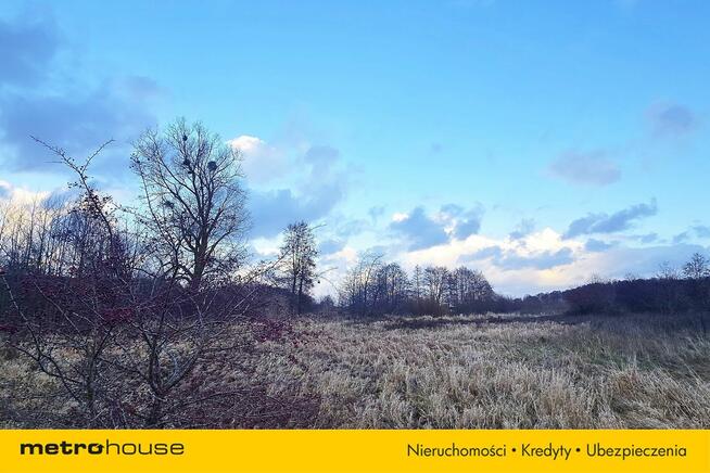 DZIAŁKA BARDZO BLISKO MORZA