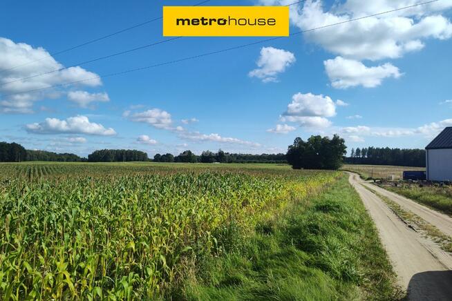 Działka rolna w Urowie z warunkami zabudowy.