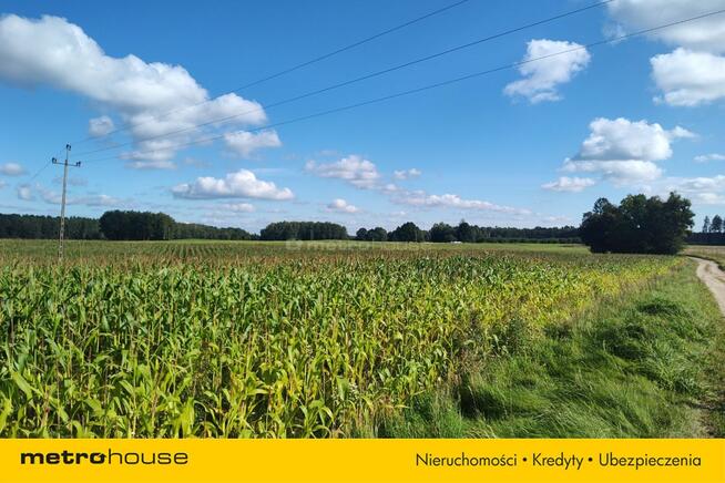 Działka rolna w Urowie z warunkami zabudowy.