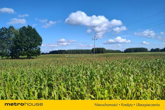 Działka rolna w Urowie z warunkami zabudowy.