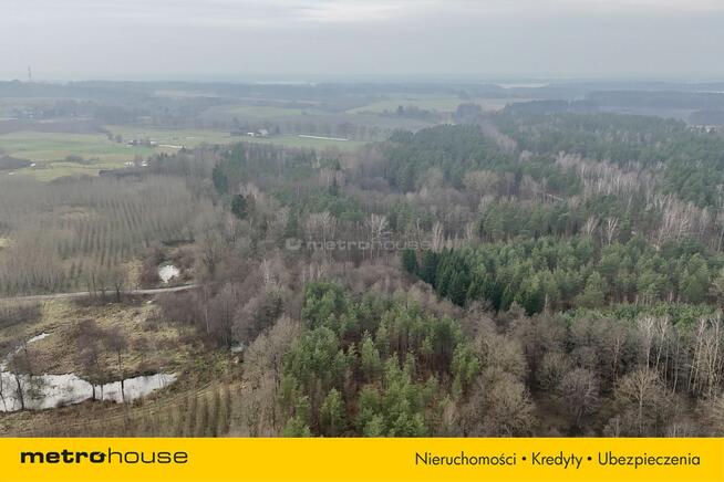 Działka leśna w otoczeniu parku krajobrazowego