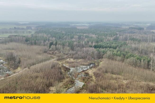 Działka leśna w otoczeniu parku krajobrazowego