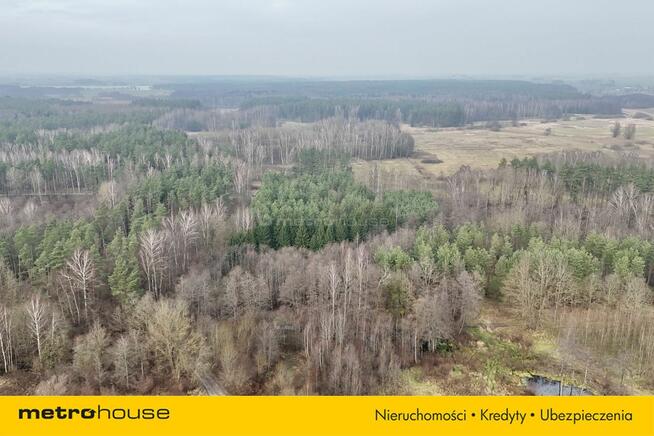 Działka leśna w otoczeniu parku krajobrazowego