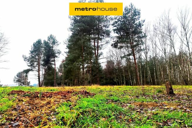 Sprzedam dużą działkę z WZ, Suliszew k.Skierniewic